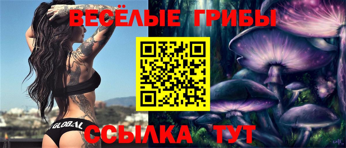 Псилоцибиновые грибы мицелий Ялта