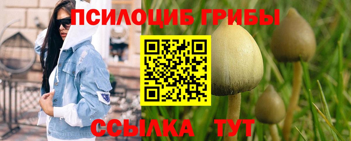 Псилоцибиновые грибы мицелий  Вход с VPN  Ялта 